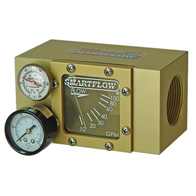 Flowmeter 1-1/2" NPT (F) 10-100 gpm Therm 100 psi Pressure Gauge 
