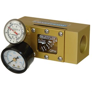 Flowmeter 3/4" NPT 2-20gpm Therm 60psi PresGuage