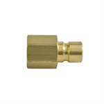 1/16 NPT Water1/4 thru-hole Female Brass Plug 200 Series